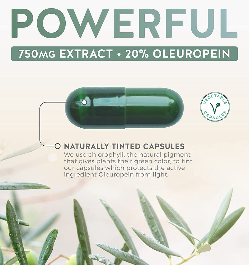Olive Leaf Extract (NON-GMO) Super Strength: 20% Oleuropein